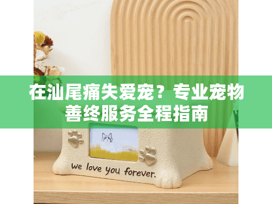 在汕尾痛失爱宠？专业宠物善终服务全程指南