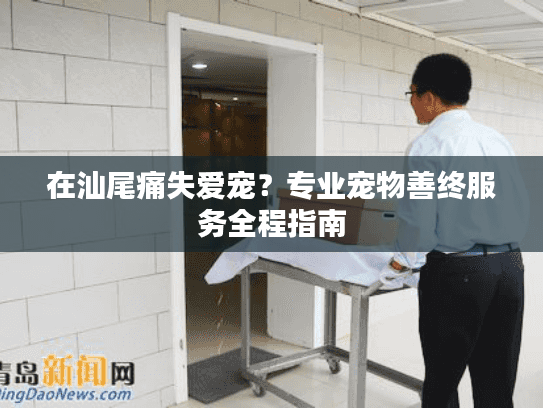 在汕尾痛失爱宠？专业宠物善终服务全程指南