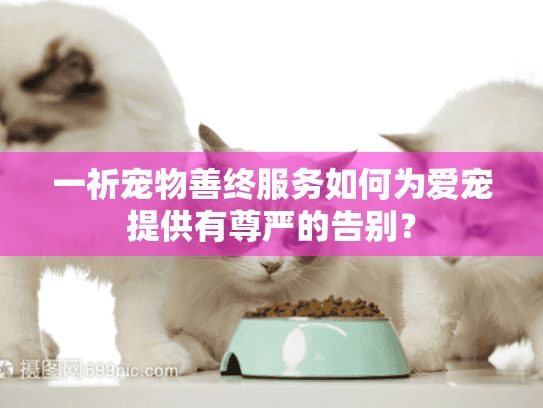 一祈宠物善终服务如何为爱宠提供有尊严的告别？