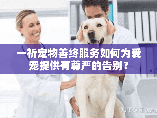 一祈宠物善终服务如何为爱宠提供有尊严的告别？