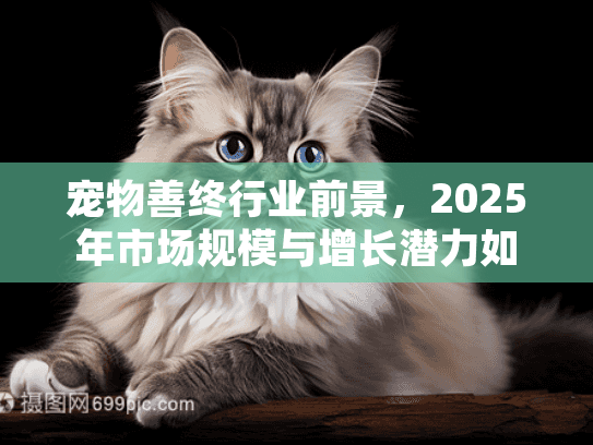 宠物善终行业前景，2025年市场规模与增长潜力如何？