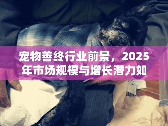 宠物善终行业前景，2025年市场规模与增长潜力如何？