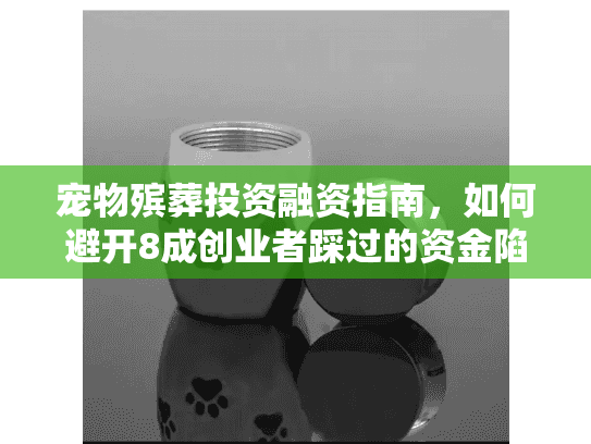 宠物殡葬投资融资指南，如何避开8成创业者踩过的资金陷阱？
