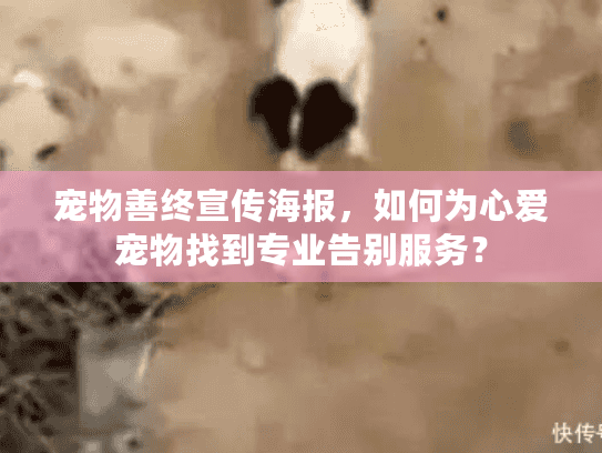 宠物善终宣传海报，如何为心爱宠物找到专业告别服务？