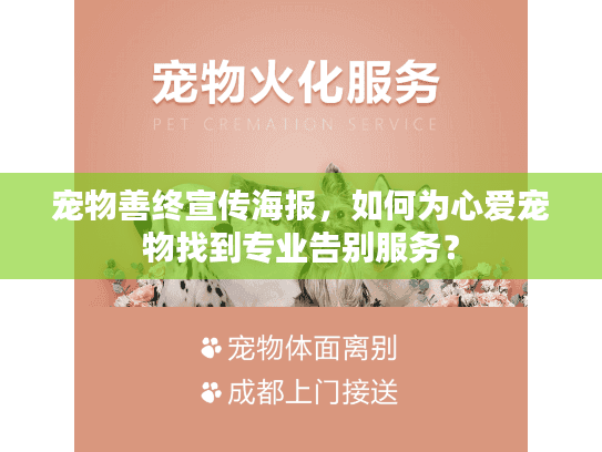 宠物善终宣传海报，如何为心爱宠物找到专业告别服务？