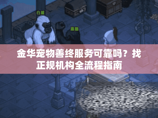金华宠物善终服务可靠吗？找正规机构全流程指南