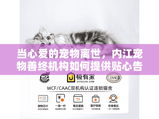 当心爱的宠物离世，内江宠物善终机构如何提供贴心告别服务？