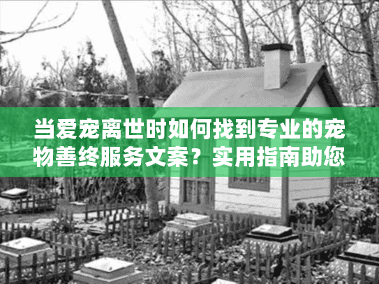 当爱宠离世时如何找到专业的宠物善终服务文案？实用指南助您疗愈