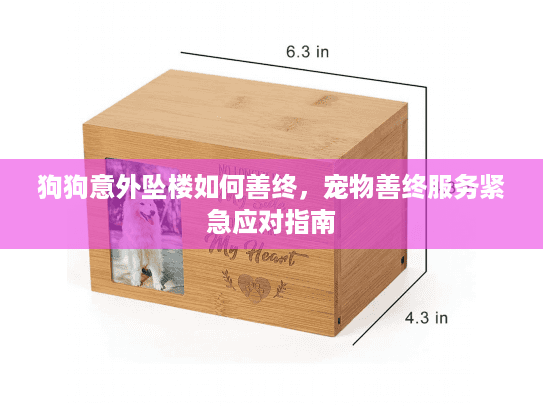 狗狗意外坠楼如何善终，宠物善终服务紧急应对指南