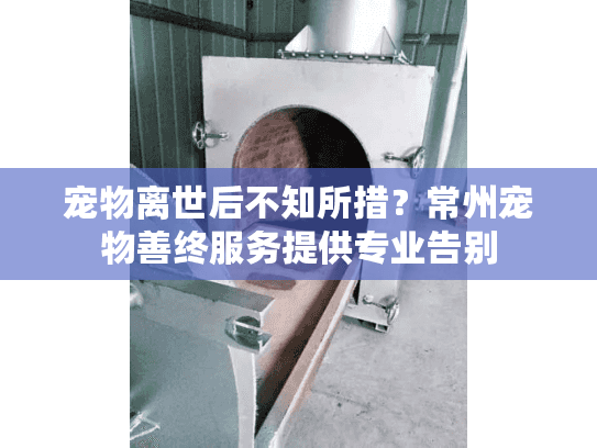 宠物离世后不知所措？常州宠物善终服务提供专业告别