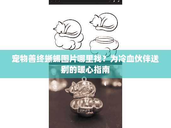 宠物善终蜥蜴图片哪里找？为冷血伙伴送别的暖心指南