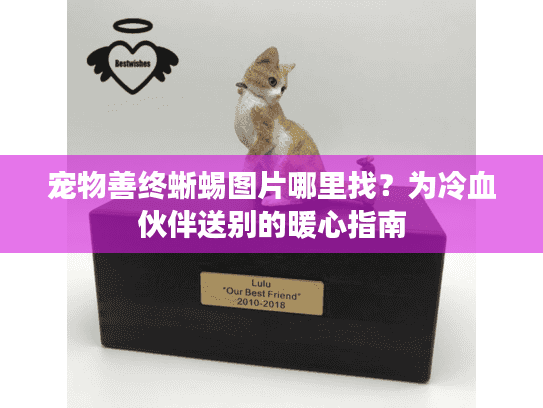宠物善终蜥蜴图片哪里找？为冷血伙伴送别的暖心指南