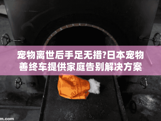 宠物离世后手足无措?日本宠物善终车提供家庭告别解决方案