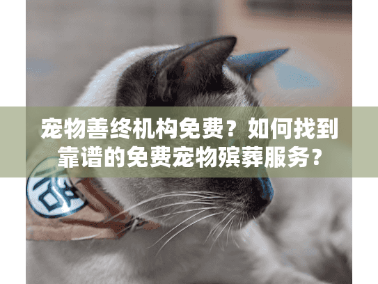 宠物善终机构免费？如何找到靠谱的免费宠物殡葬服务？