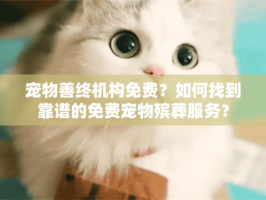 宠物善终机构免费？如何找到靠谱的免费宠物殡葬服务？