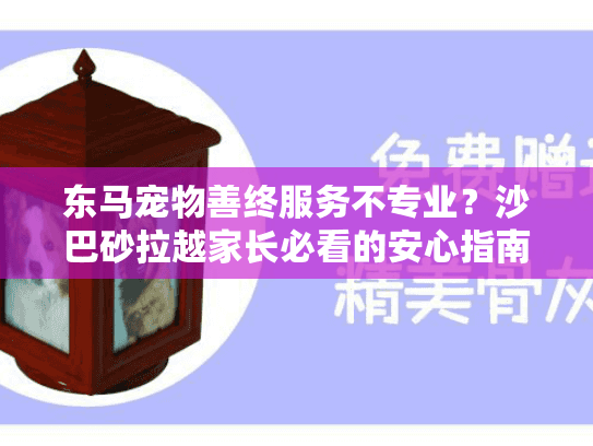 东马宠物善终服务不专业？沙巴砂拉越家长必看的安心指南