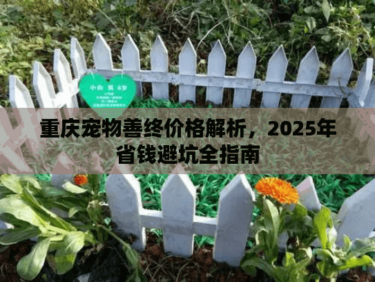 重庆宠物善终价格解析，2025年省钱避坑全指南