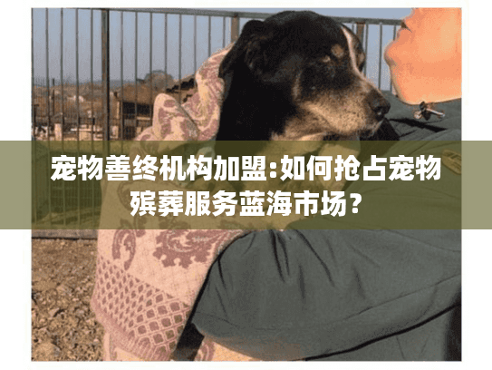 宠物善终机构加盟:如何抢占宠物殡葬服务蓝海市场？