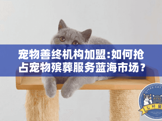 宠物善终机构加盟:如何抢占宠物殡葬服务蓝海市场？