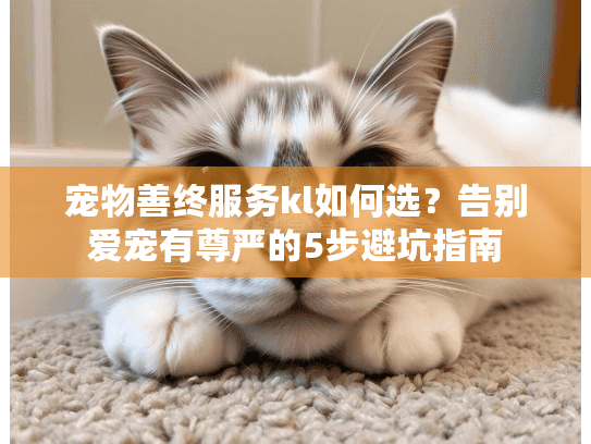 宠物善终服务kl如何选？告别爱宠有尊严的5步避坑指南