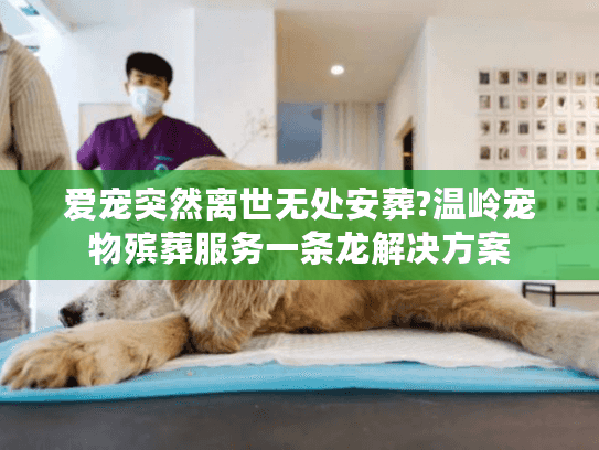 爱宠突然离世无处安葬?温岭宠物殡葬服务一条龙解决方案
