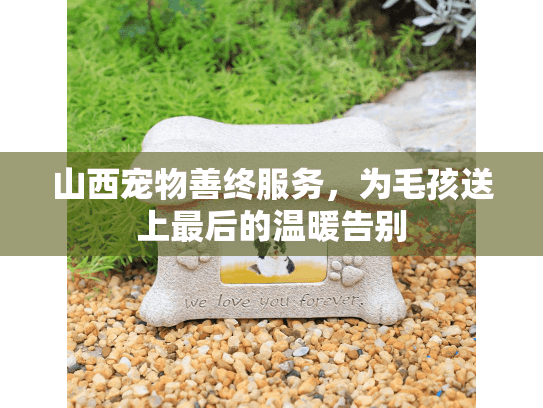 山西宠物善终服务，为毛孩送上最后的温暖告别