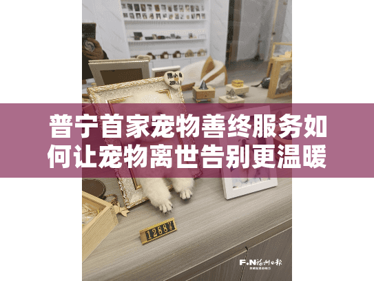 普宁首家宠物善终服务如何让宠物离世告别更温暖？
