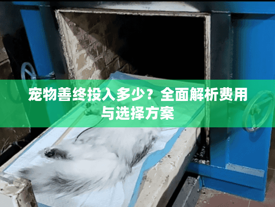 宠物善终投入多少？全面解析费用与选择方案