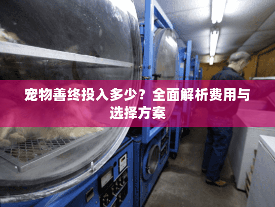 宠物善终投入多少?全面解析费用与选择方案