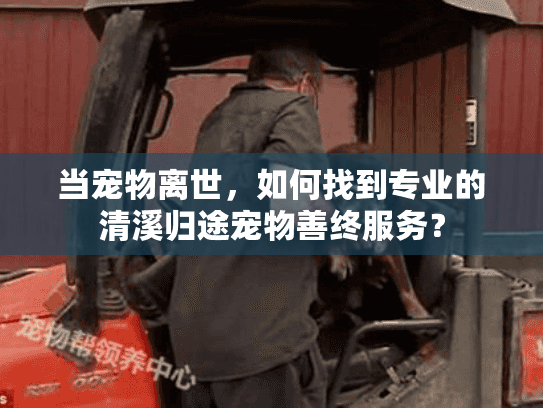 当宠物离世,如何找到专业的清溪归途宠物善终服务?
