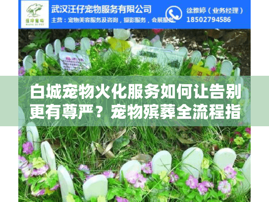 白城宠物火化服务如何让告别更有尊严？宠物殡葬全流程指南