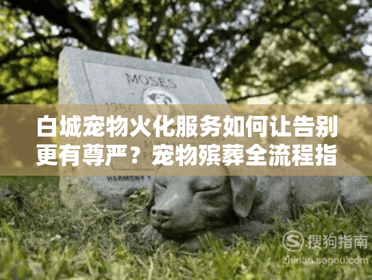 白城宠物火化服务如何让告别更有尊严？宠物殡葬全流程指南