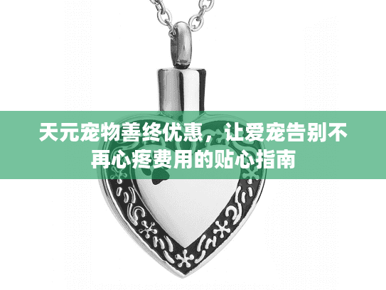 天元宠物善终优惠,让爱宠告别不再心疼费用的贴心指南