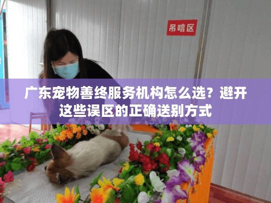 广东宠物善终服务机构怎么选？避开这些误区的正确送别方式
