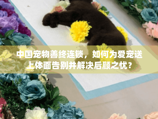 中国宠物善终连锁，如何为爱宠送上体面告别并解决后顾之忧？