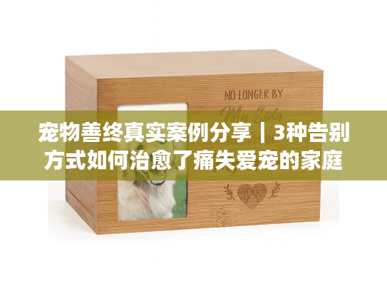 宠物善终真实案例分享｜3种告别方式如何治愈了痛失爱宠的家庭