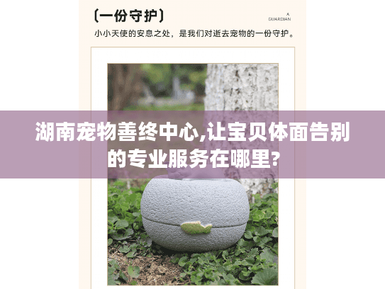 湖南宠物善终中心,让宝贝体面告别的专业服务在哪里?