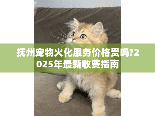 抚州宠物火化服务价格贵吗?2025年最新收费指南