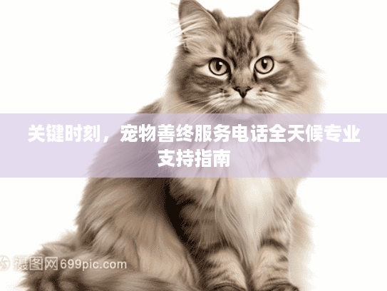 关键时刻，宠物善终服务电话全天候专业支持指南