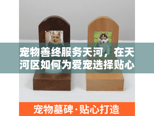 宠物善终服务天河，在天河区如何为爱宠选择贴心殡葬方案？