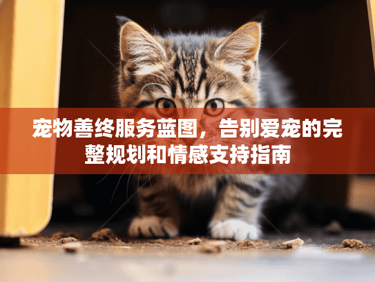 宠物善终服务蓝图，告别爱宠的完整规划和情感支持指南