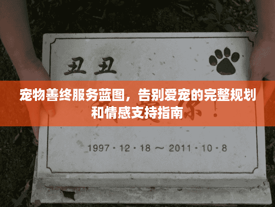 宠物善终服务蓝图，告别爱宠的完整规划和情感支持指南