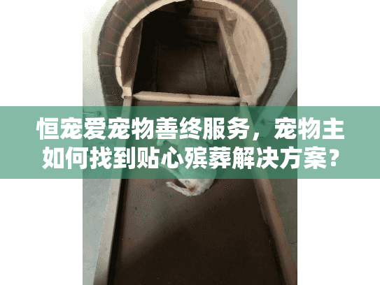 恒宠爱宠物善终服务，宠物主如何找到贴心殡葬解决方案？