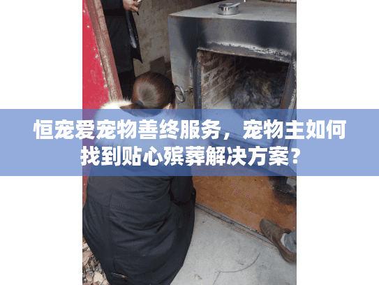 恒宠爱宠物善终服务，宠物主如何找到贴心殡葬解决方案？