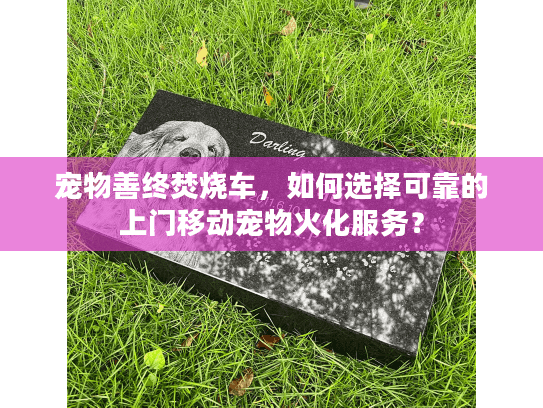 宠物善终焚烧车，如何选择可靠的上门移动宠物火化服务？
