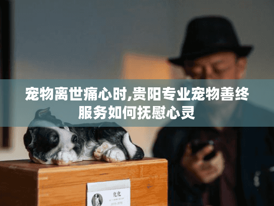 宠物离世痛心时,贵阳专业宠物善终服务如何抚慰心灵