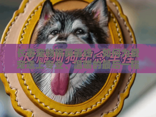 长春宠物殡葬善终，如何为爱宠送上专业、温暖的最后一程？