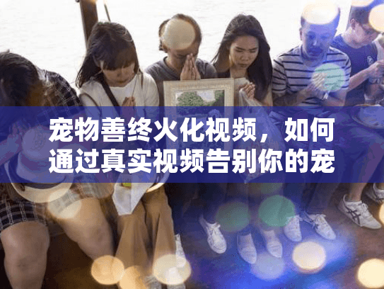 宠物善终火化视频，如何通过真实视频告别你的宠物伴侣？