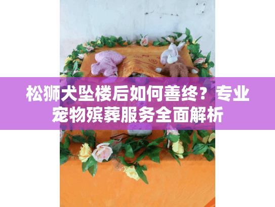 松狮犬坠楼后如何善终？专业宠物殡葬服务全面解析