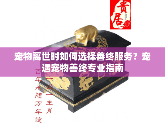 宠物离世时如何选择善终服务？宠遇宠物善终专业指南